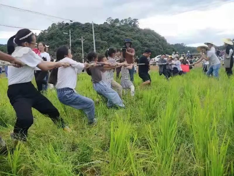 玉溪发布(微信)