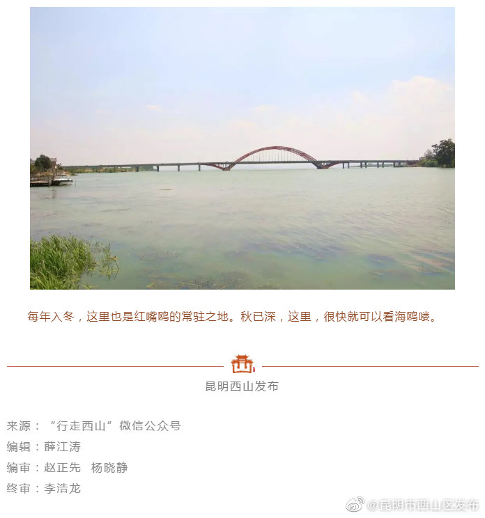 “昆明市西山区发布”微博