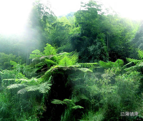 云南广播电视台(微信)