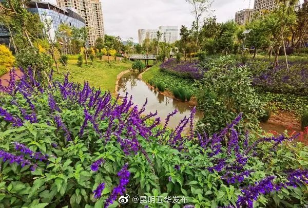 “昆明五华发布”微博