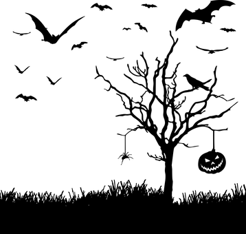 云南野生动物园(微信)