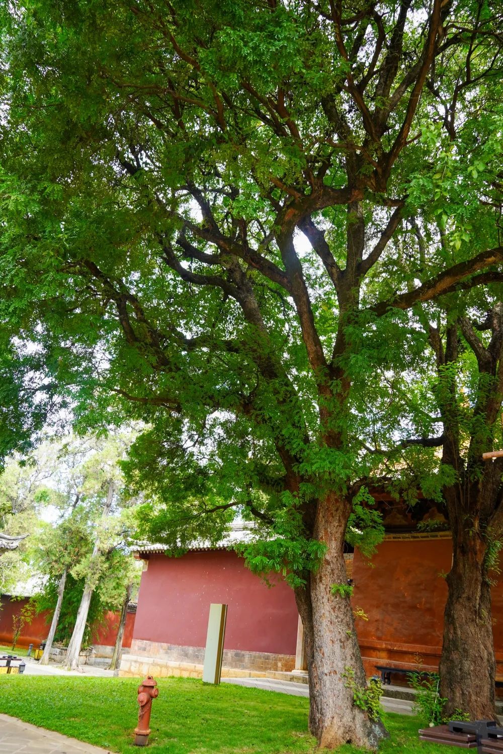 红河文旅(微信)