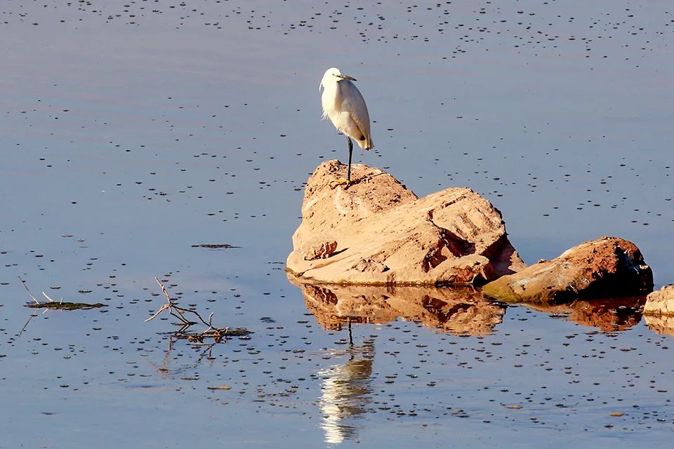 云南广播电视台(微信)