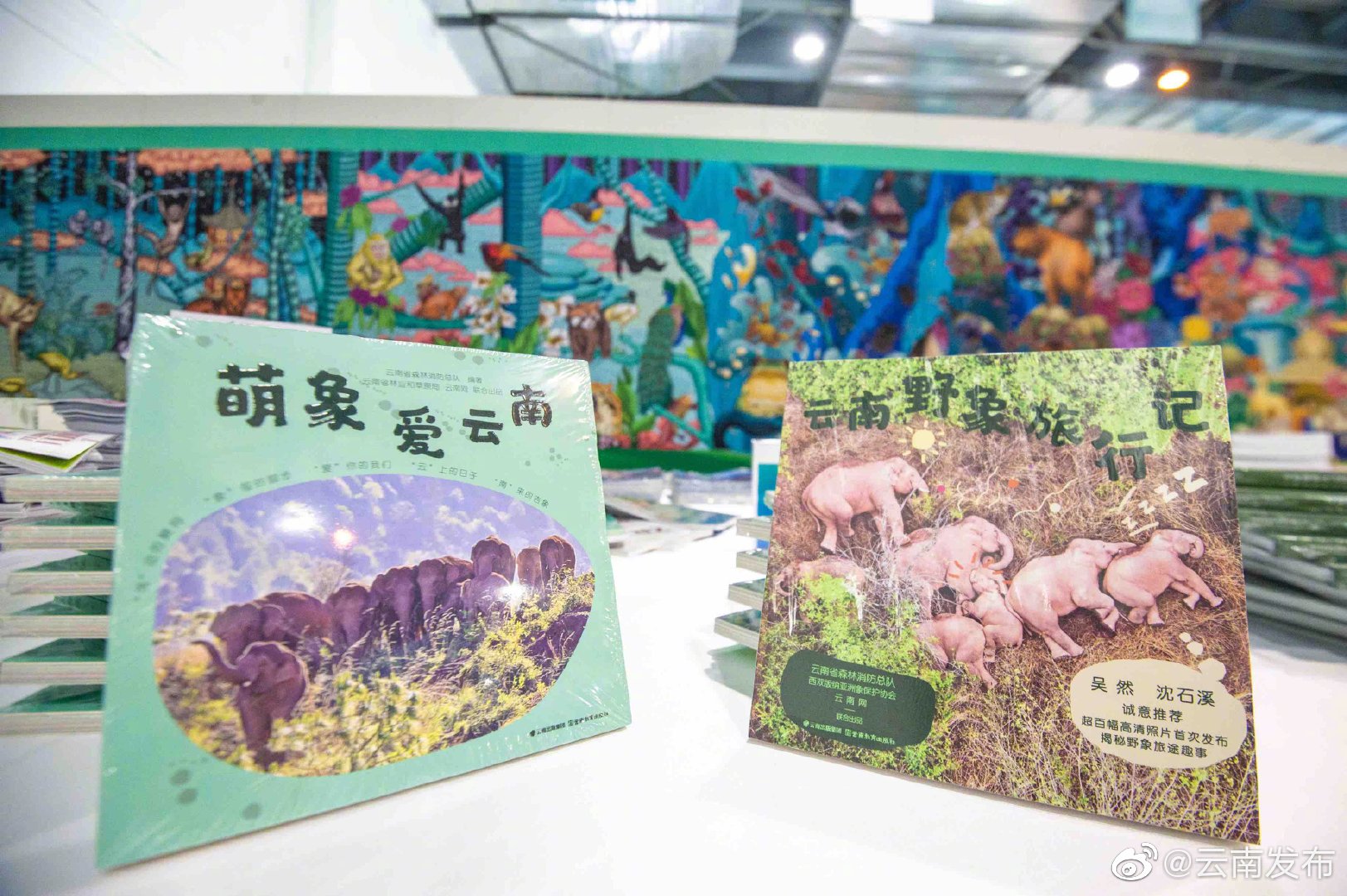 “云南发布”微博