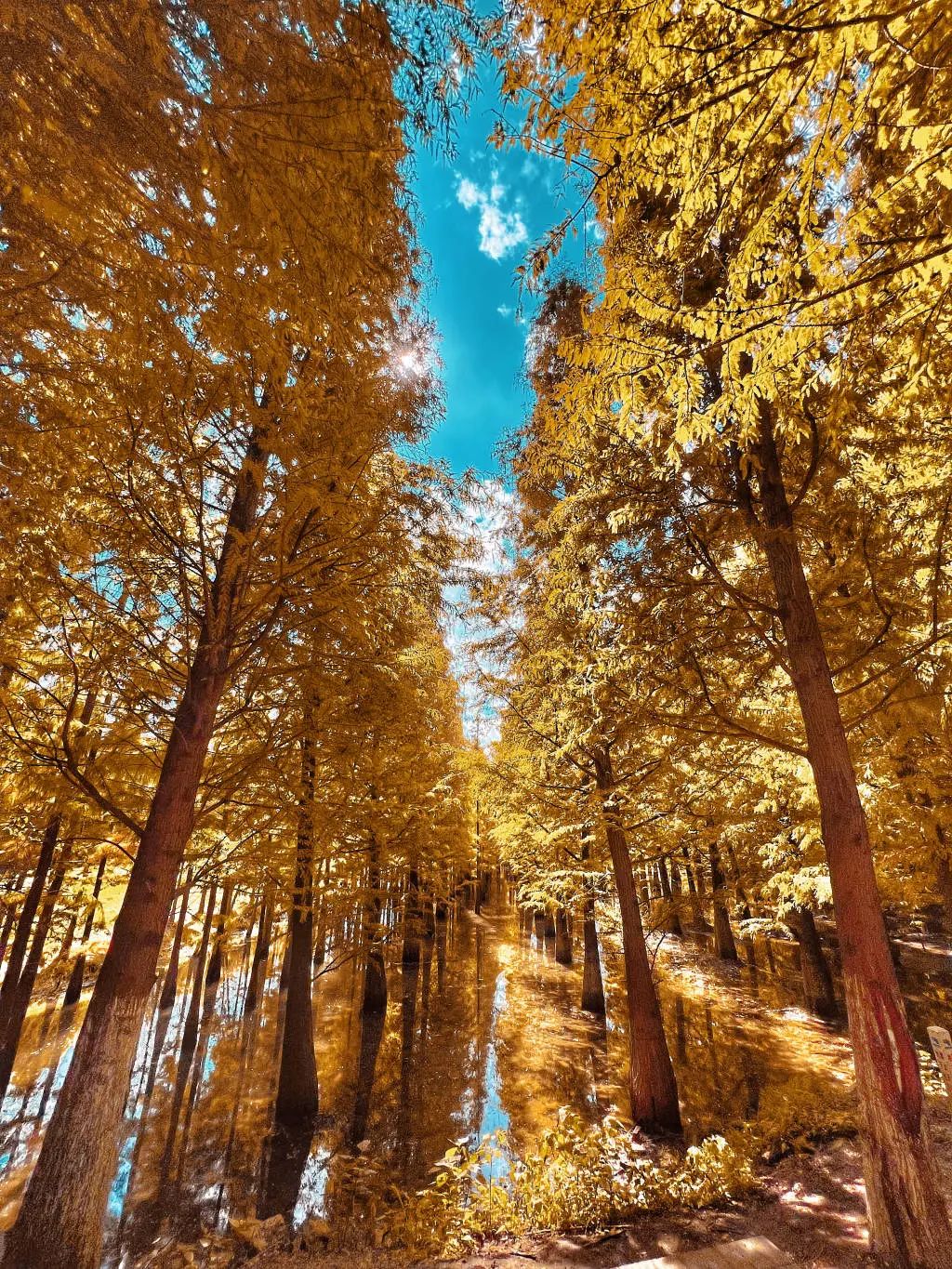 昆明滇池国家旅游度假区管理委员会(微信)