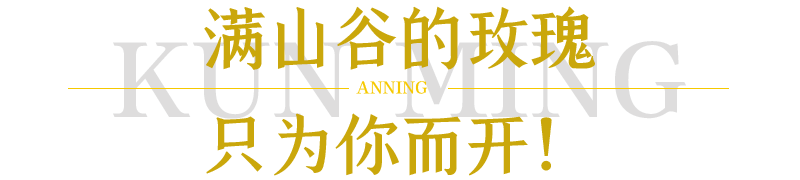 昆明发布(微信)