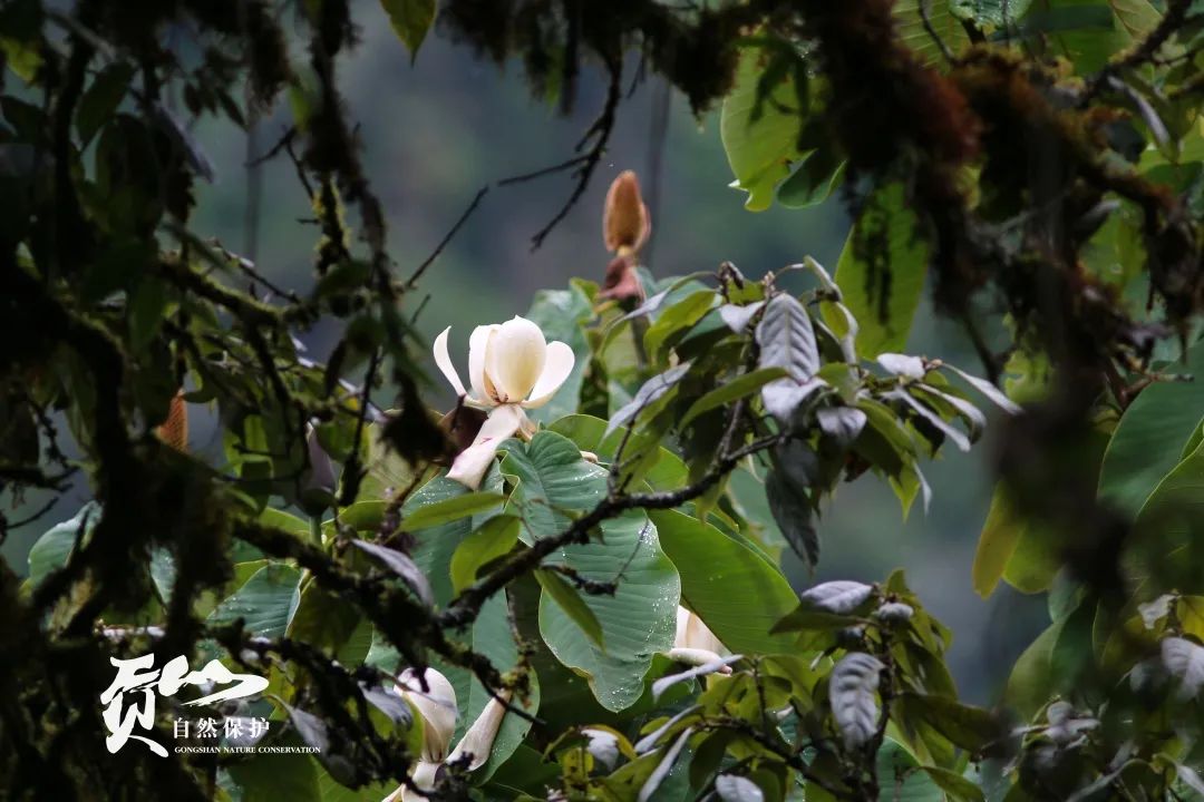 云南广播电视台(微信)