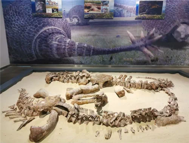 春城晚报(微信)