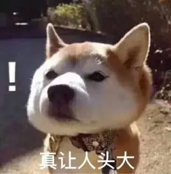 云南政法(微信)