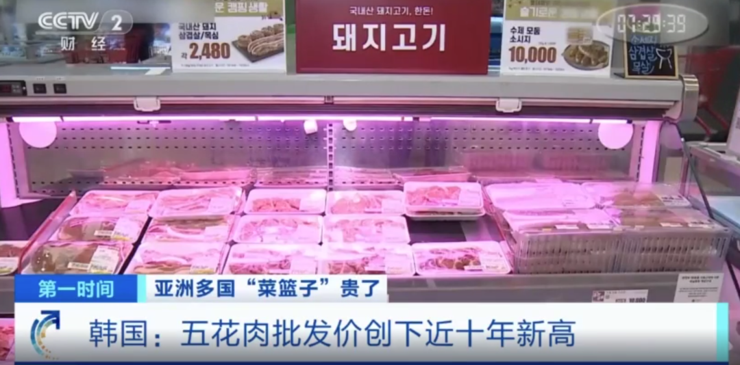 春城晚报(微信)