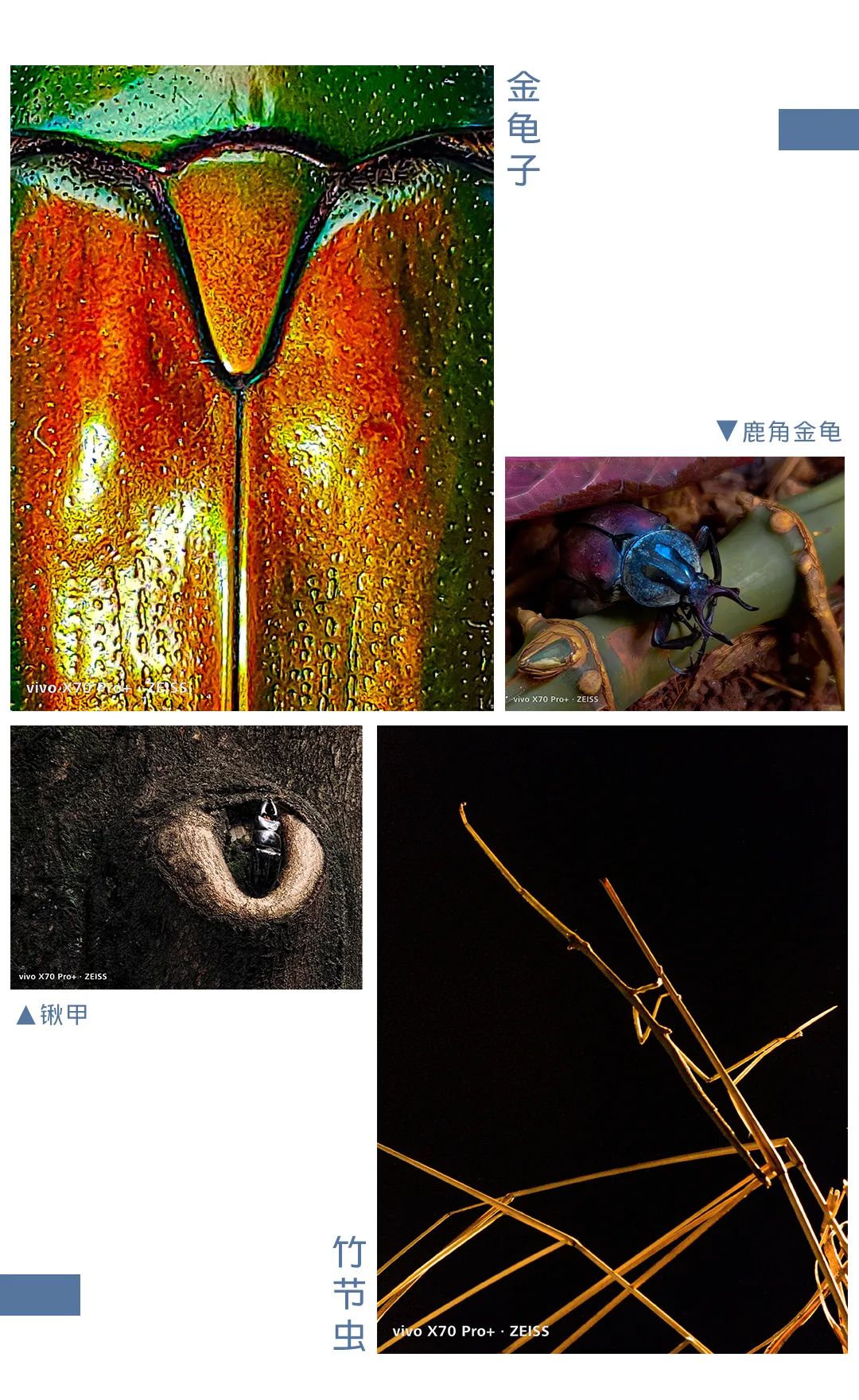 春城晚报(微信)