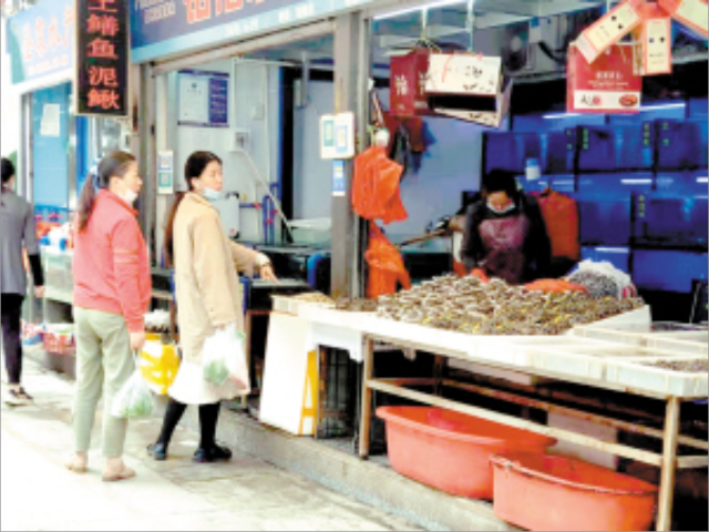 春城晚报(微信)