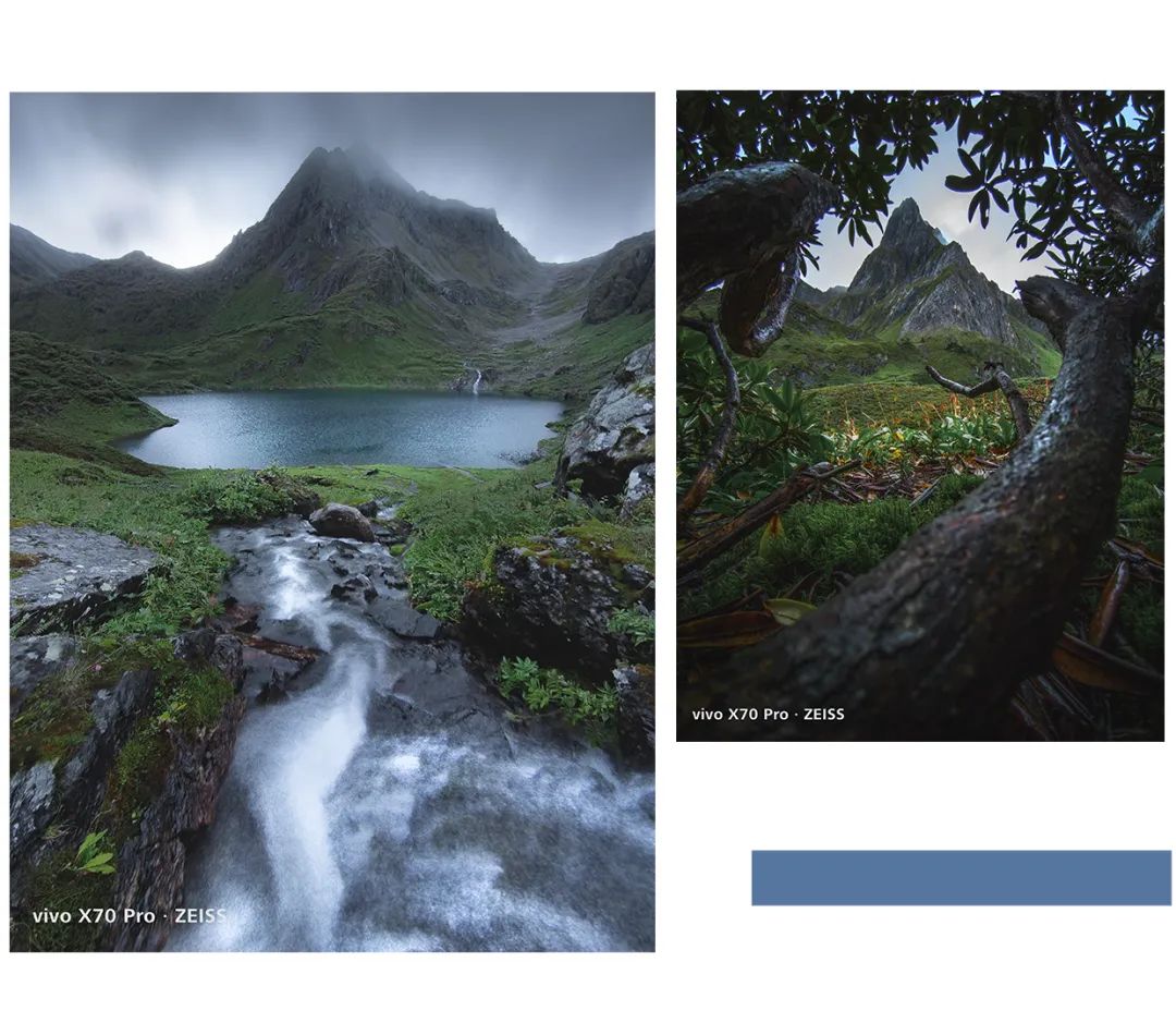 春城晚报(微信)