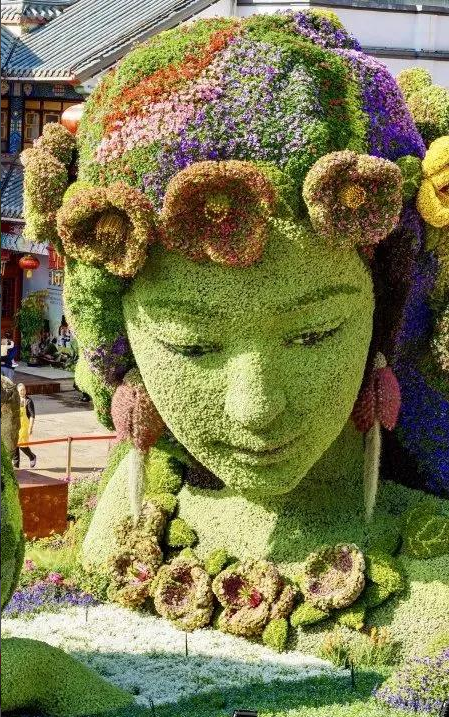 春城晚报(微信)