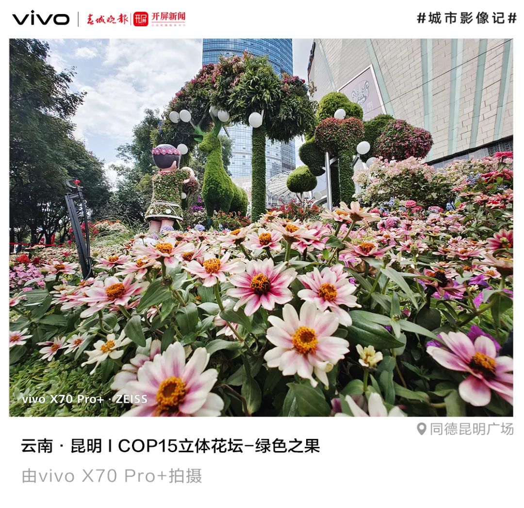 春城晚报(微信)