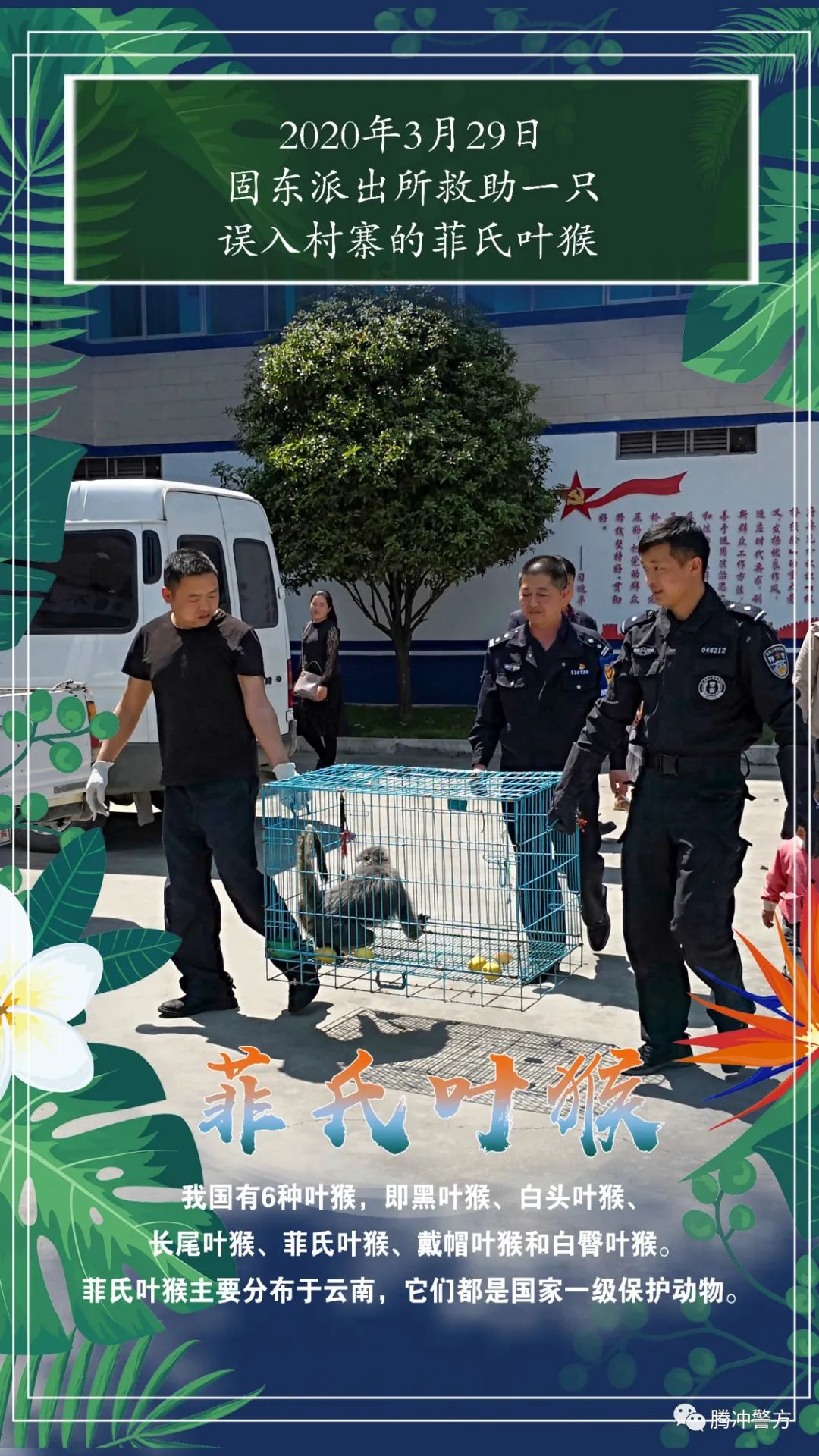 保山新闻网(微信)