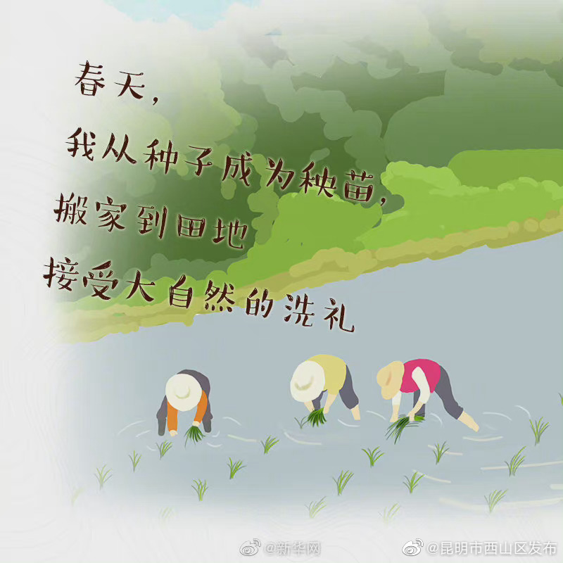 “昆明市西山区发布”微博