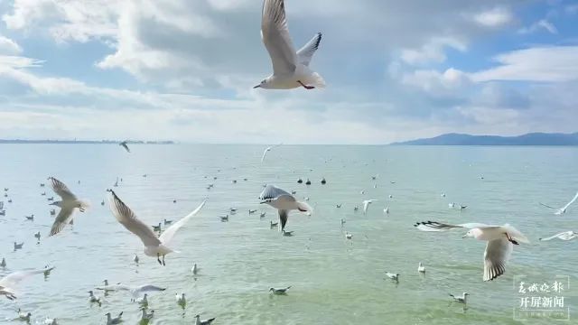 昆明滇池国家旅游度假区管理委员会(微信)