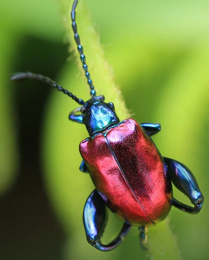 云南广播电视台(微信)