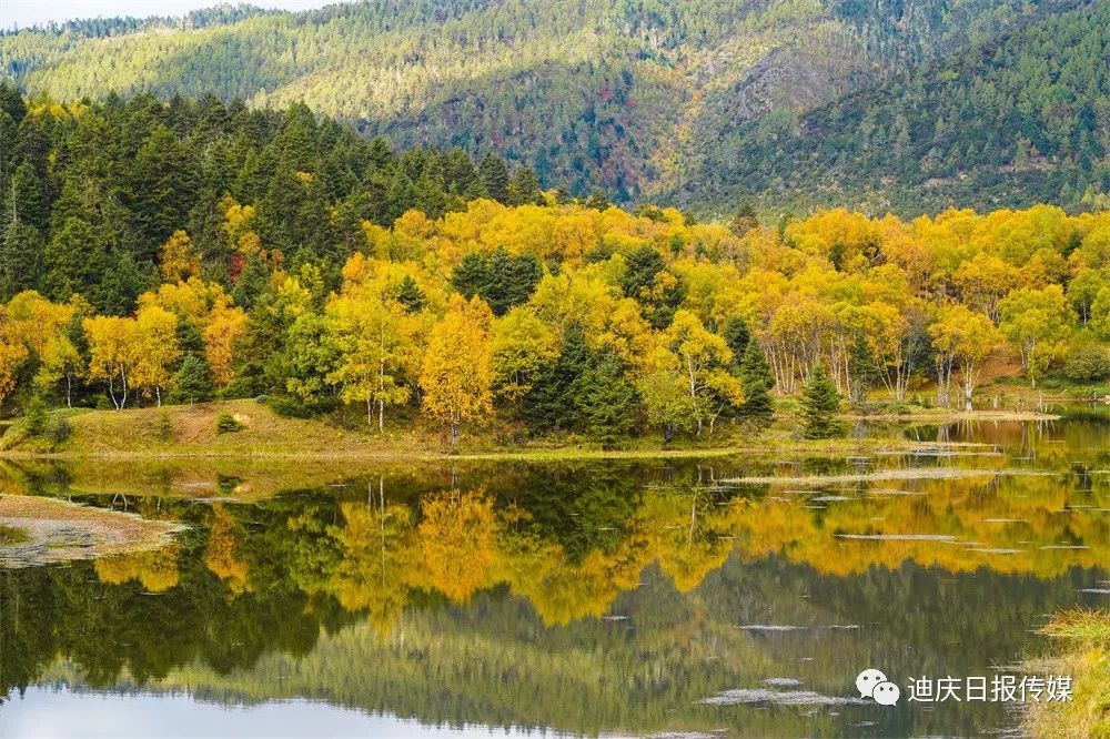 迪庆日报传媒(微信)