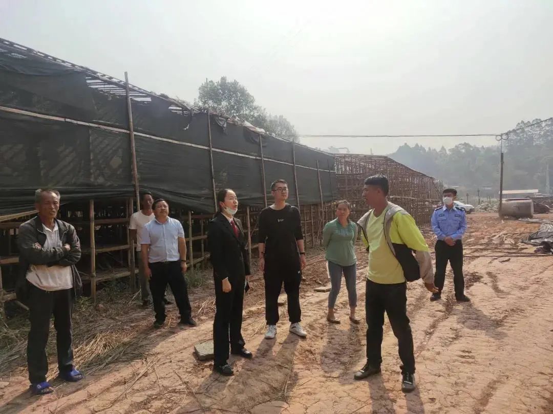 云南政法(微信)