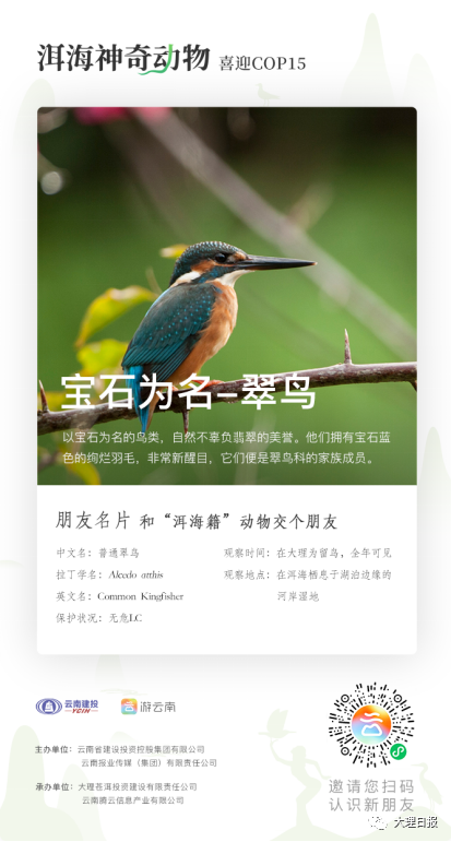 大理日报(微信)