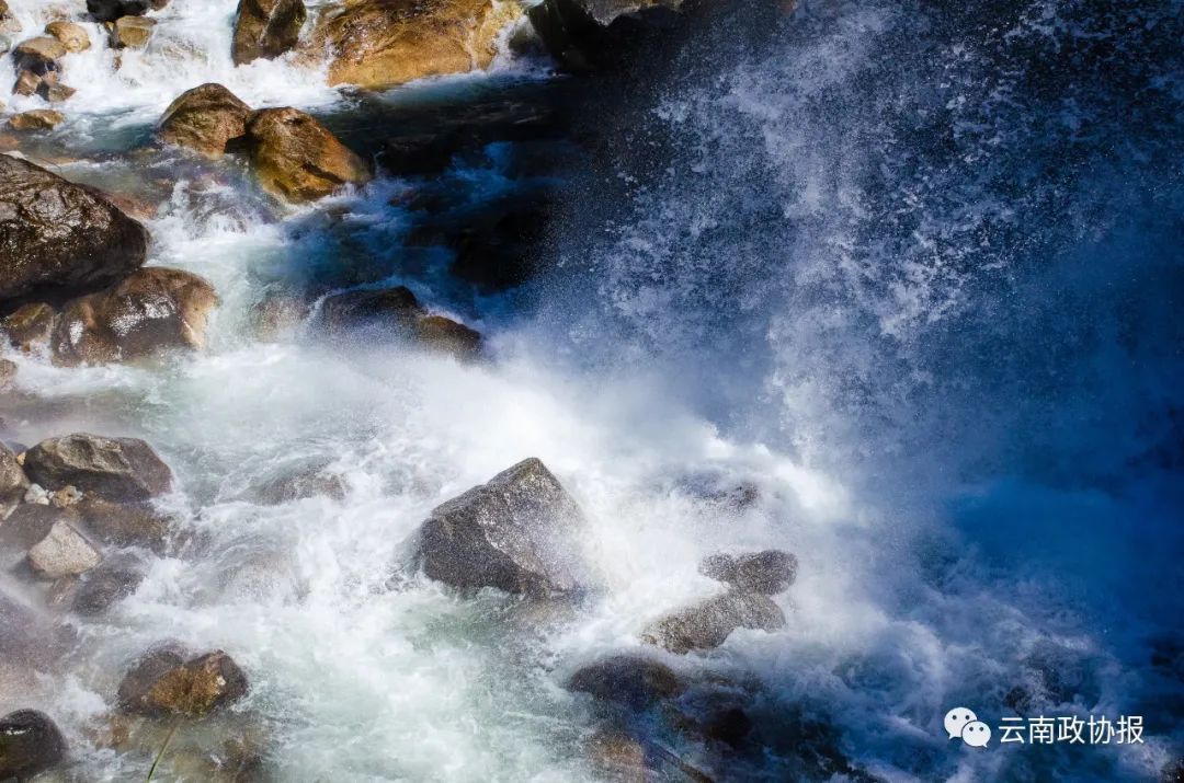 云南政协报(微信)