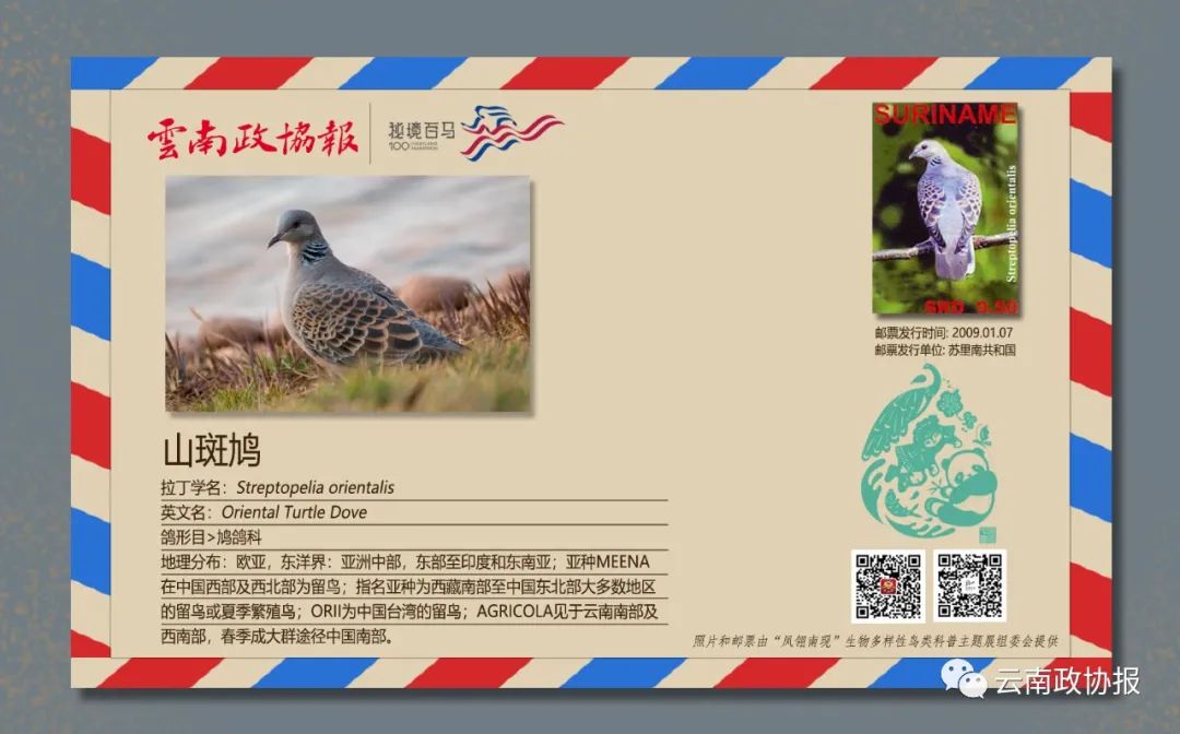 云南政协报(微信)
