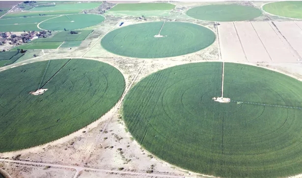 中华人民共和国中央人民政府