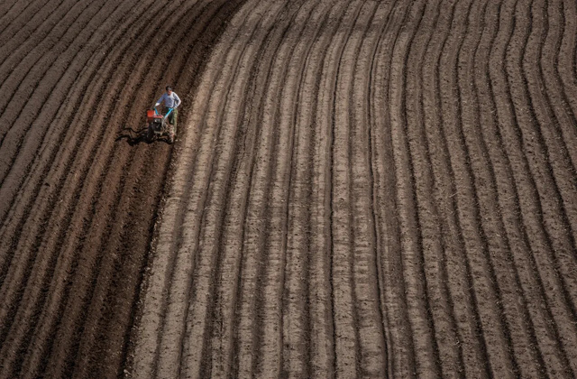 中华人民共和国中央人民政府