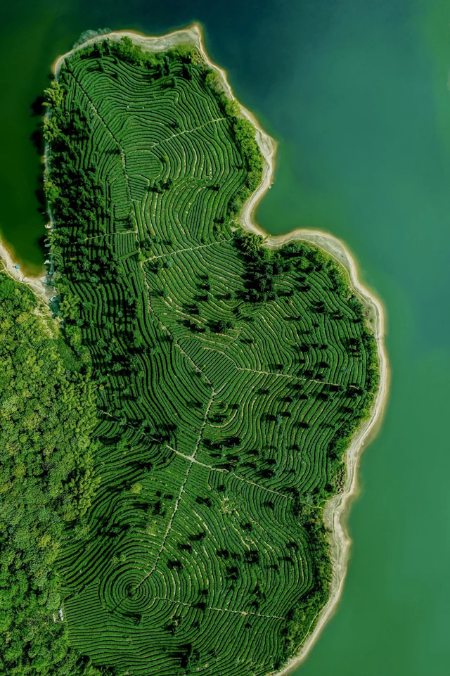 中华人民共和国中央人民政府