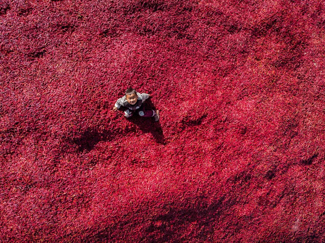 中华人民共和国中央人民政府