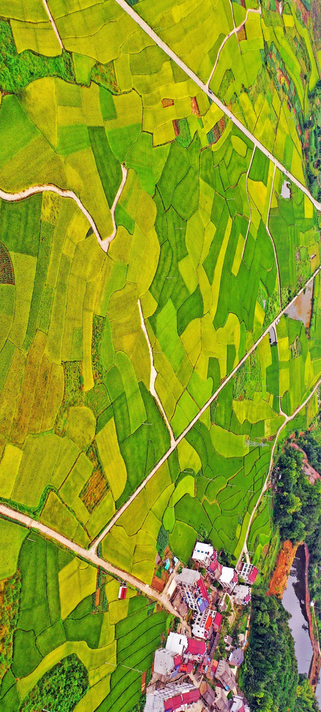 中华人民共和国中央人民政府