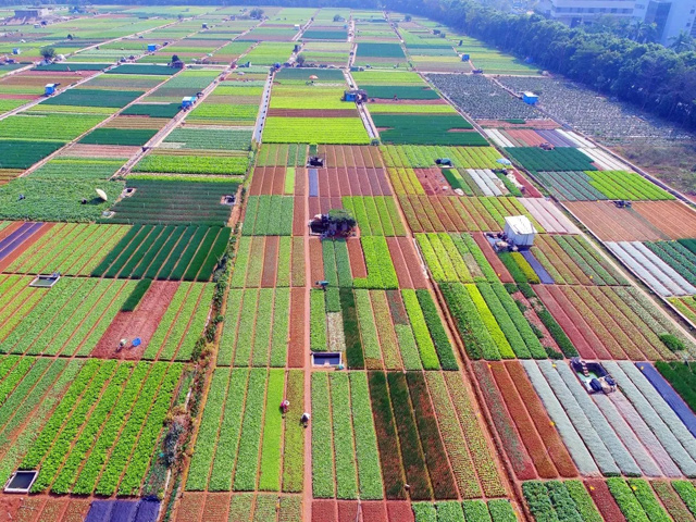 中华人民共和国中央人民政府