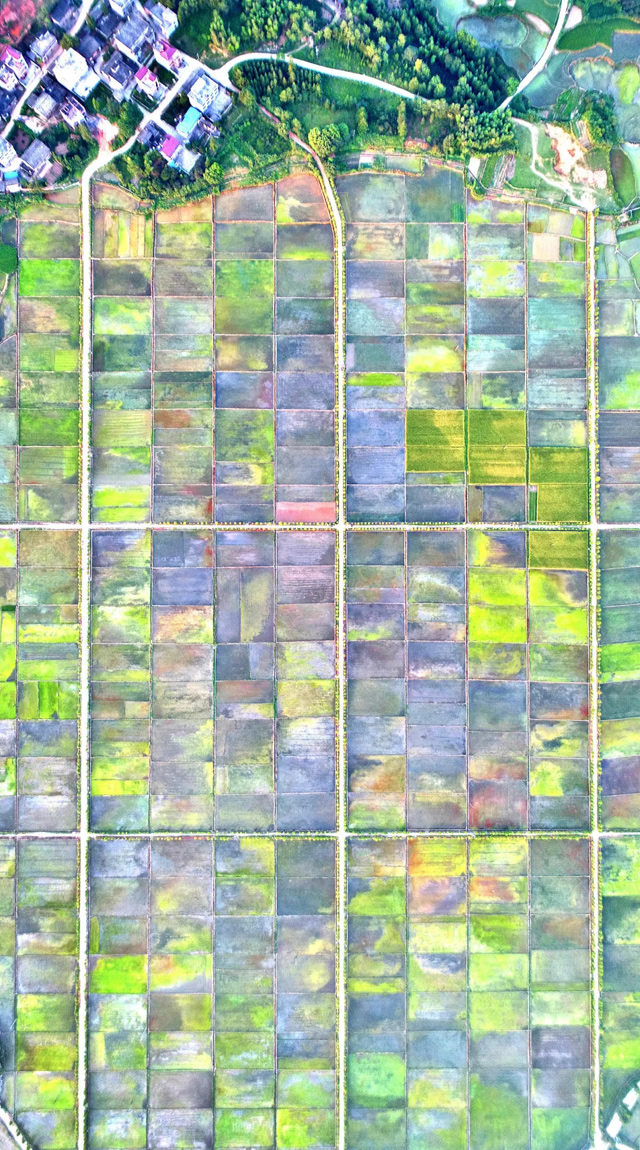 中华人民共和国中央人民政府