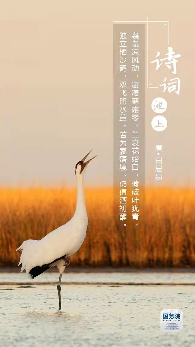 中华人民共和国中央人民政府