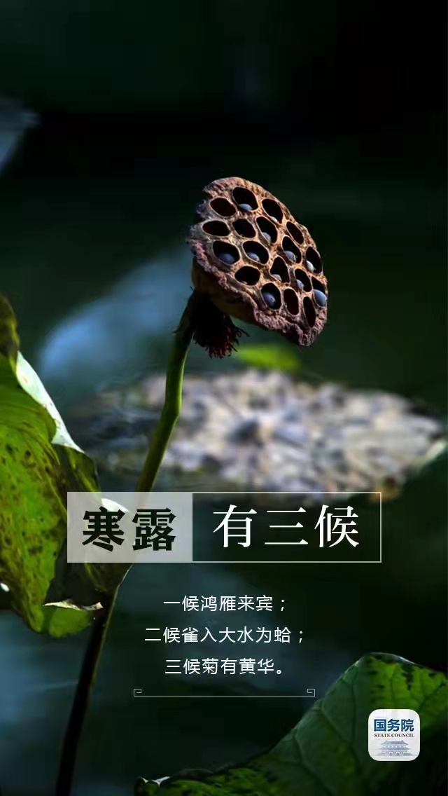 中华人民共和国中央人民政府