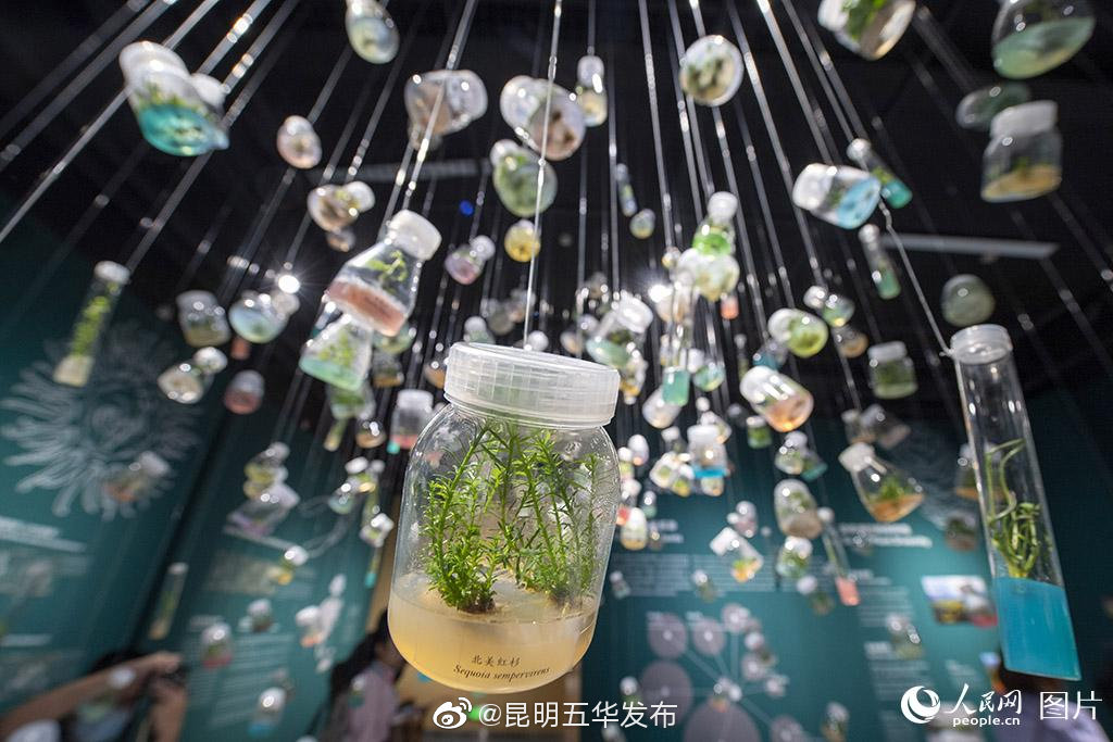 “昆明五华发布”微博