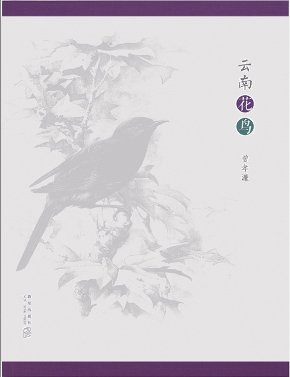 喜迎COP15好书推荐：《云南花鸟》