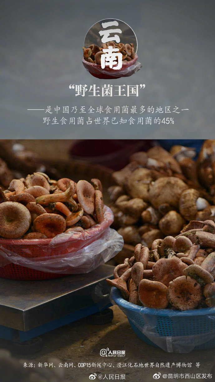 “昆明市西山区发布”微博