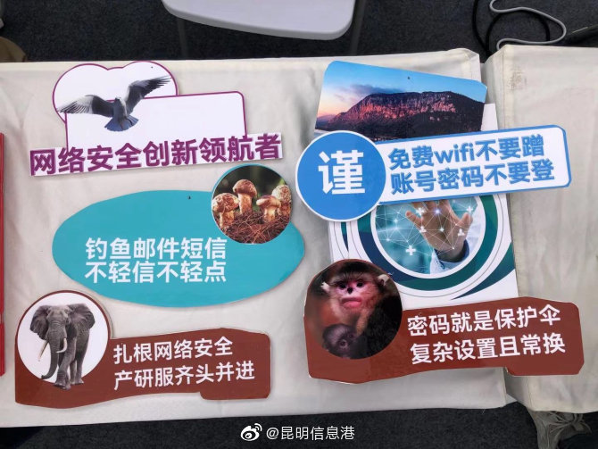 昆明信息港微博