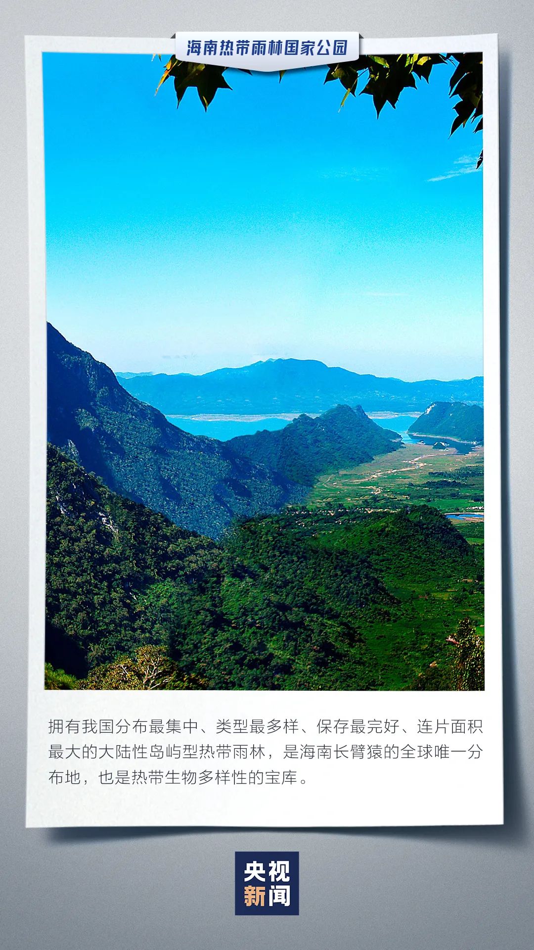 云南依法治省(微信)