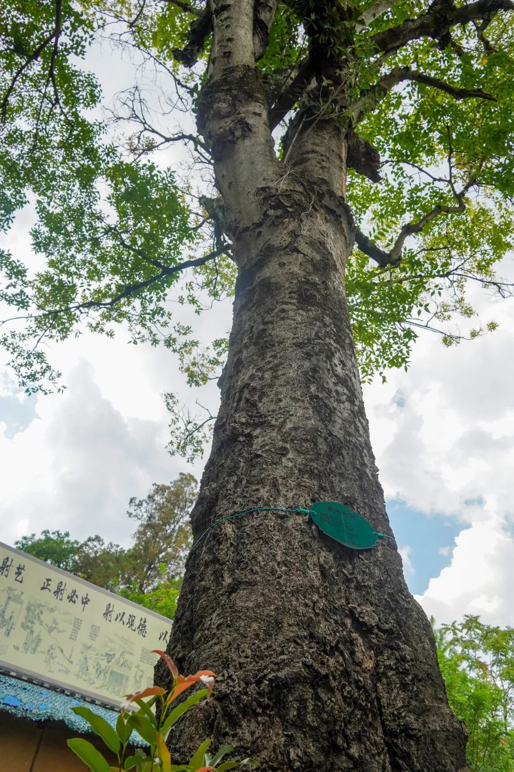 红河文旅(微信)