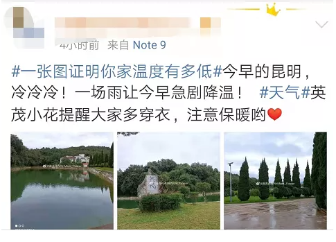 掌上春城(微信)