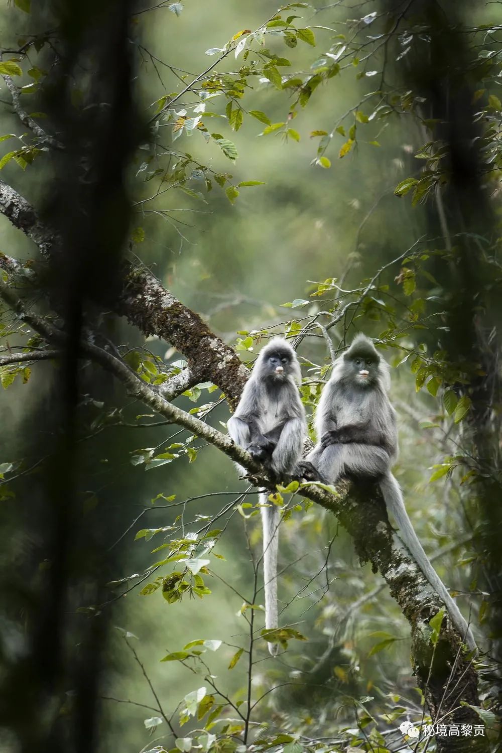 云南广播电视台(微信)