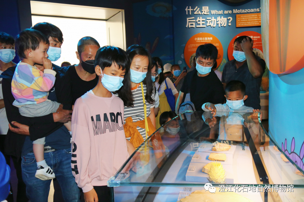 玉溪发布(微信)