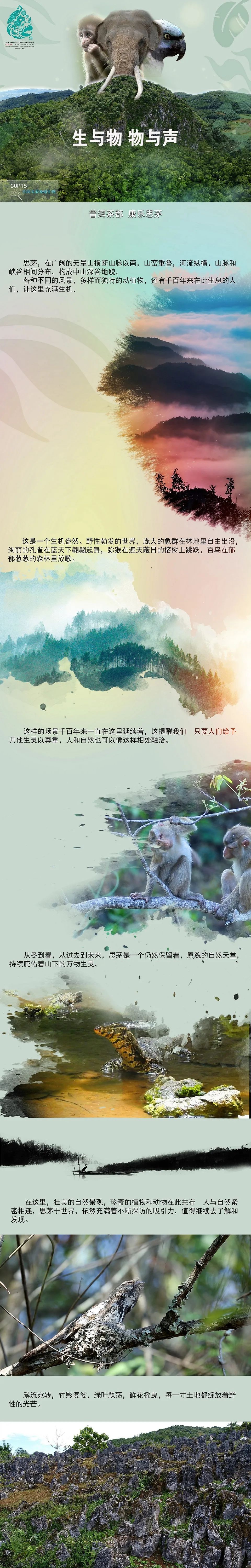 普洱日报(微信)