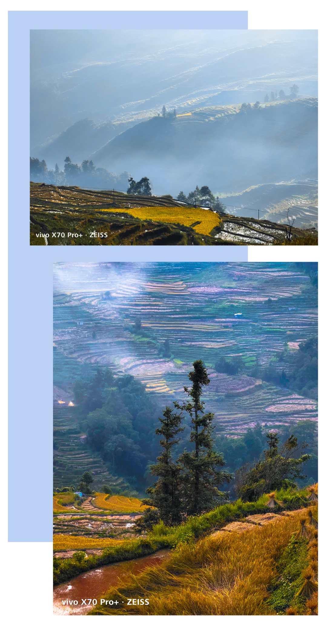 春城晚报(微信)