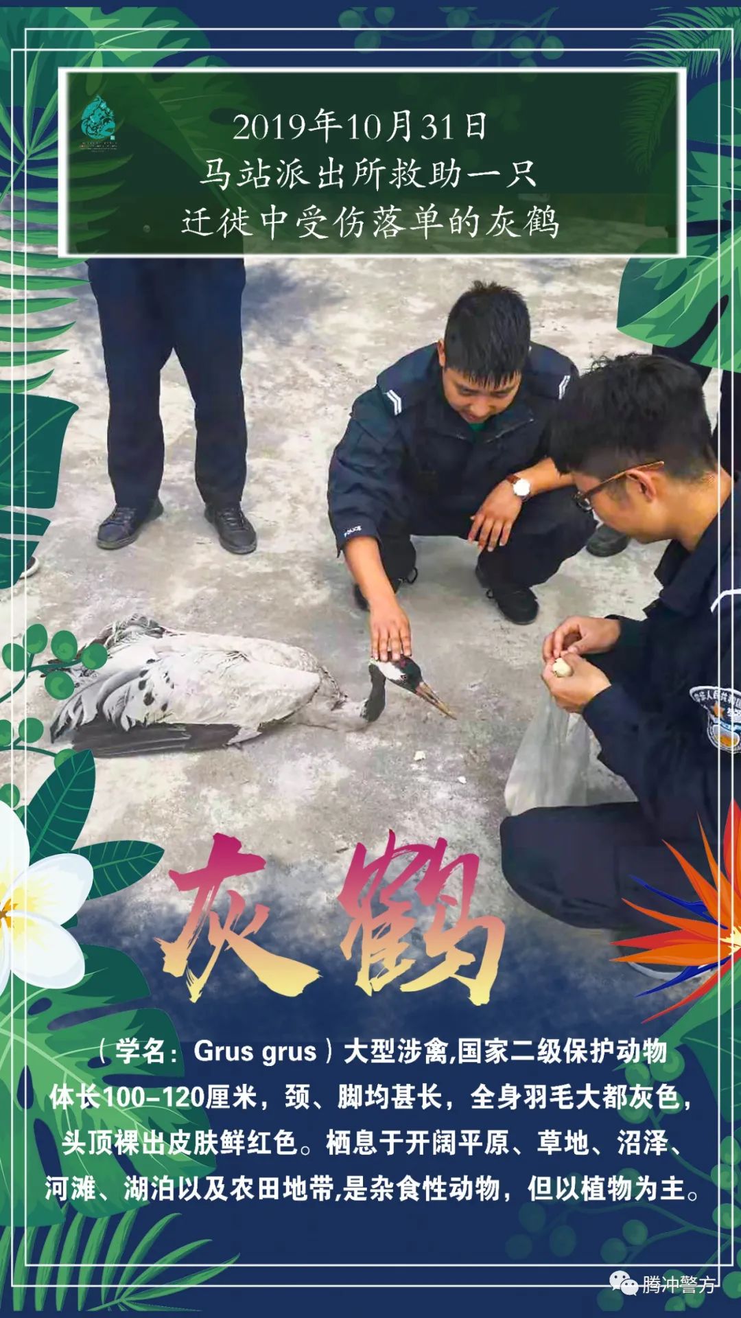 保山新闻网(微信)
