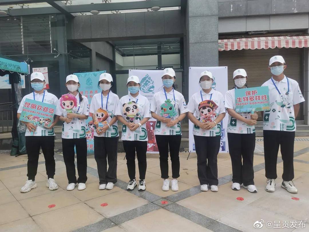 呈贡发布